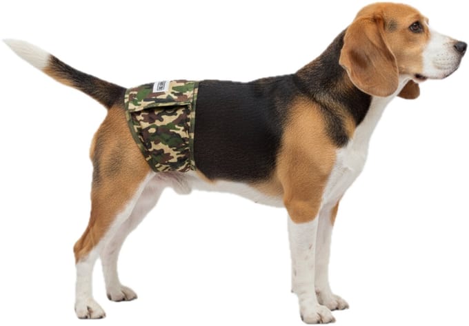 SharonB Hondenluier Camouflage Maat L - Wasbaar - Verstelbaar 57-63 cm - Plasband