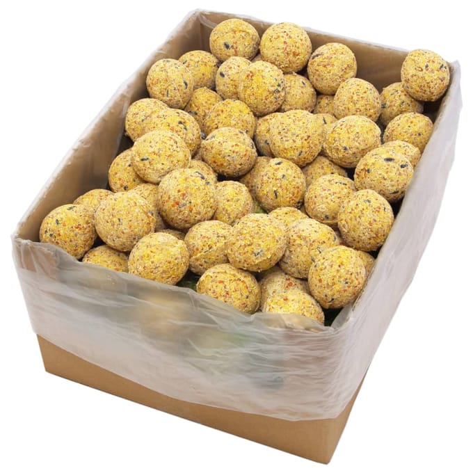 vidaXL - Vetbollen - voor - vogels - 200 - st - 90 - g