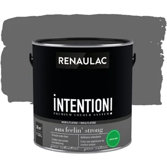 Renaulac Intention Muurverf - Extra Mat - Feelin' Strong - 2,5l
