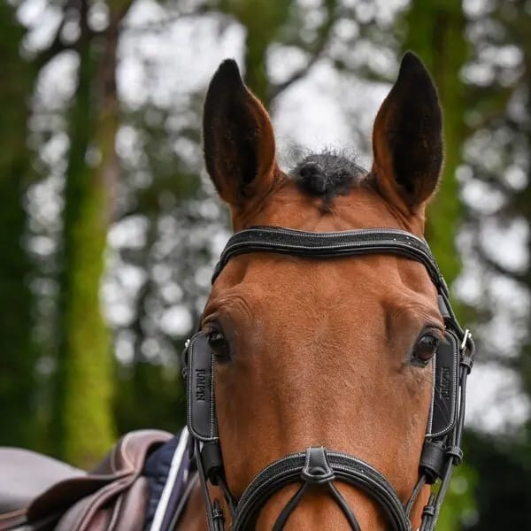 Oogkleppen voor paard van verwijderbaar leer Jump'In Week
