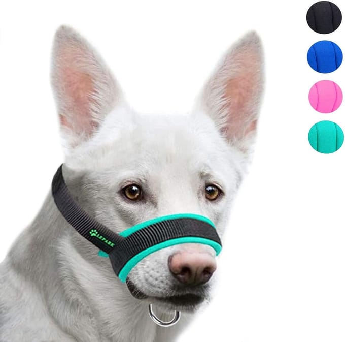Honden Muilkorf - Veiligheid Mondkap - Gedrag Reguleren - Verstelbare Pasvorm - Maat M - Groen