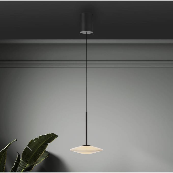 Paul Neuhaus LED hanglamp Elipsa, 1-lamp, wit/zwart