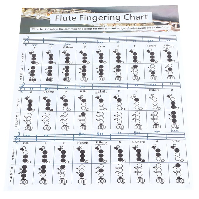 Fluit Vingerzetting Akkoorddiagram Beginner Student Oefening Lesmateriaal Instrument gray