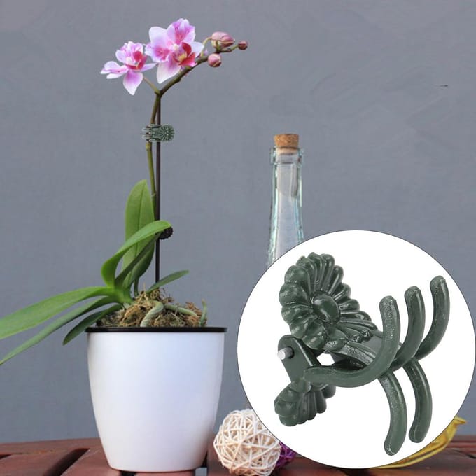 100 Pièces Pince Plante Belle Forme Chrysanthème Clips de Support Fixation Tiges Fleurs Jardin gray