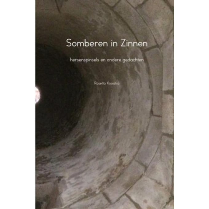 Somberen In Zinnen - Rosetta Kooistra