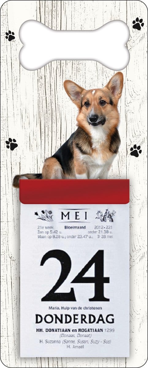 Scheurkalender 2027 Hond: Welsh Corgi Cardigan