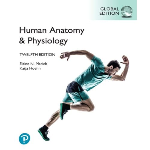 Human Anatomy & Physiology, Global Edition - Elaine Marieb