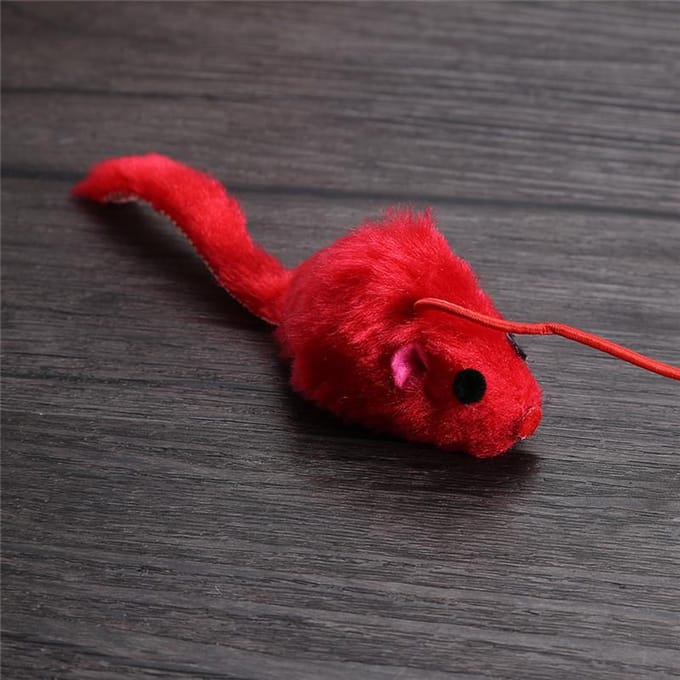 Chat chaton animal de compagnie Teaser plume de dinde bâton interactif jouet fil Chaser baguette red
