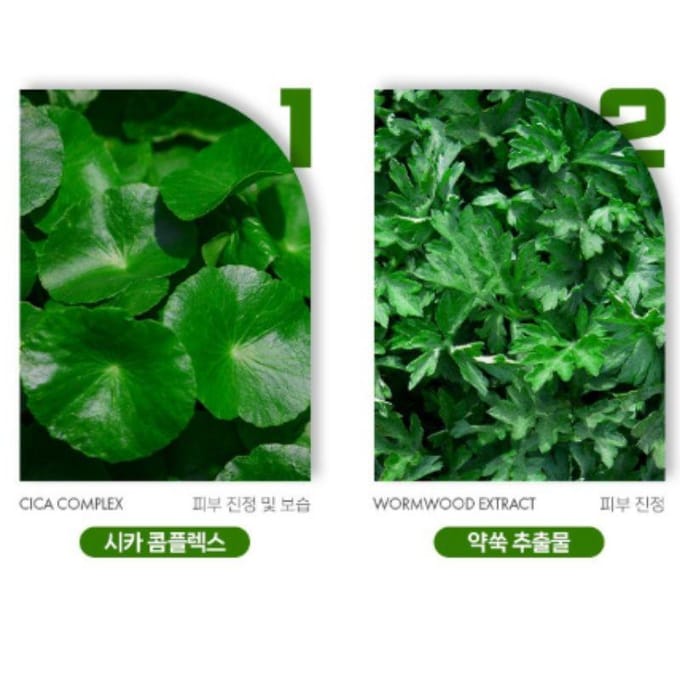 RICOCELL Mousse Nettoyante Super Profonde Centella & Armoise 120ml white