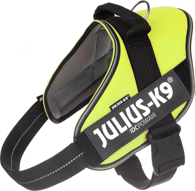 Julius-K9 IDC®Powair-tuig, XL - maat 2, neon