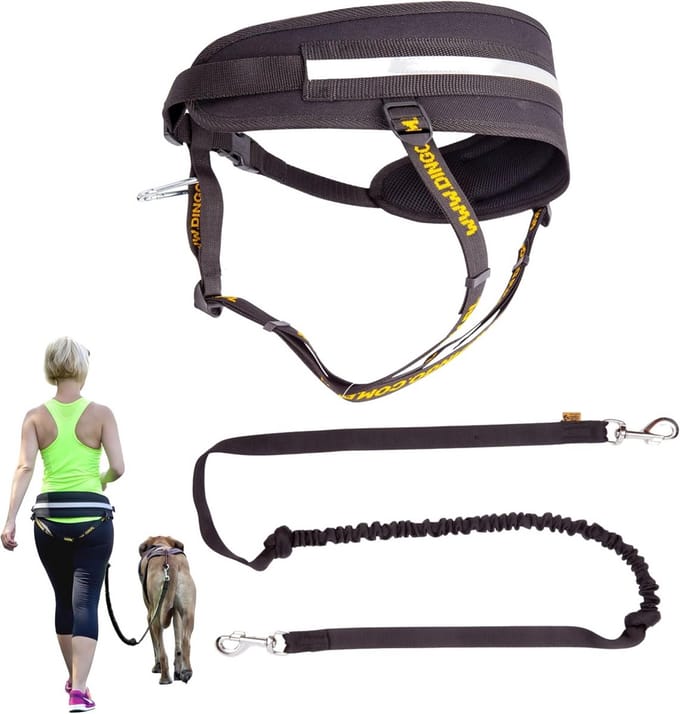 Multifunctionele Hondenriem - Handsfree Loopriem - Sporten met Hond - Verstelbare Tailleband - 170 cm Lengte - Zwart