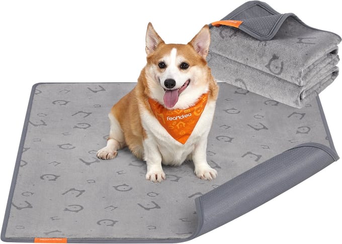 Feandrea - Trainingsmat - Herbruikbare Waterdichte Mat - Antislip en Absorberend