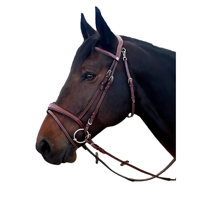 Hoofdstellen voor paarden Flags&Cup New York