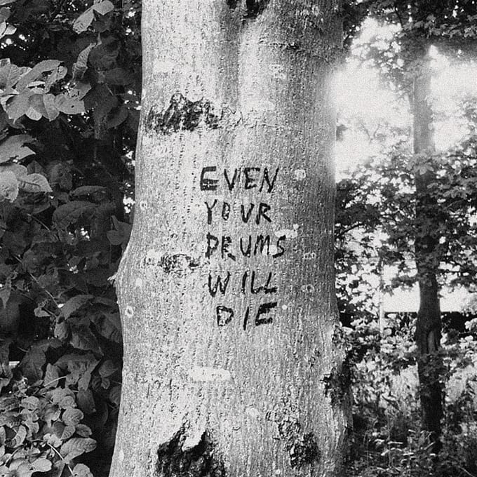 Richard Swift - Even Your Drums Will Die - Live At Pendarvis Farm 2011 (LP)
