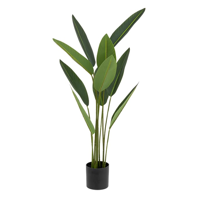 Eazy Living Kunstplant Strelitzia H97 cm