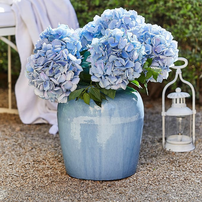 LOBERON Vaas Uxemir blauw