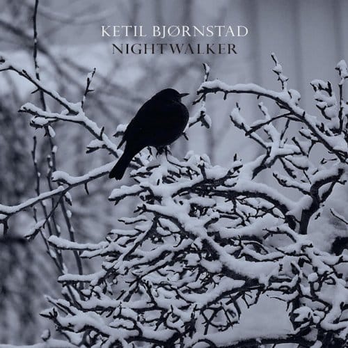 Nightwalker - Ketil Bjornstad & Falkeid Kolbei