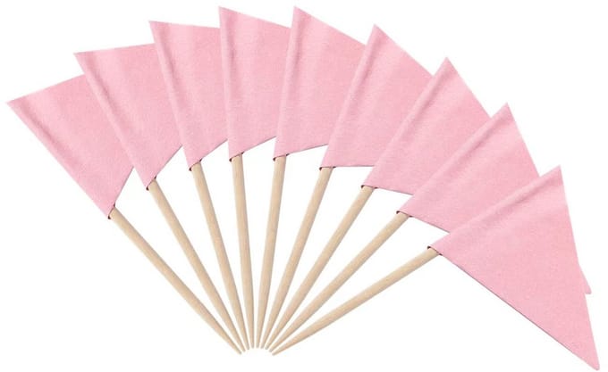 Set tandenstokers 100 stuks driehoekig roze