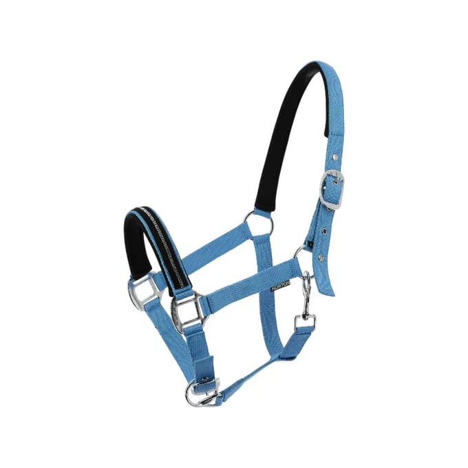 Halster voor paarden Norton Crystal
