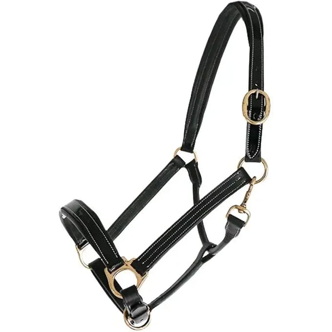 Leren halster voor paarden Chetak Bright
