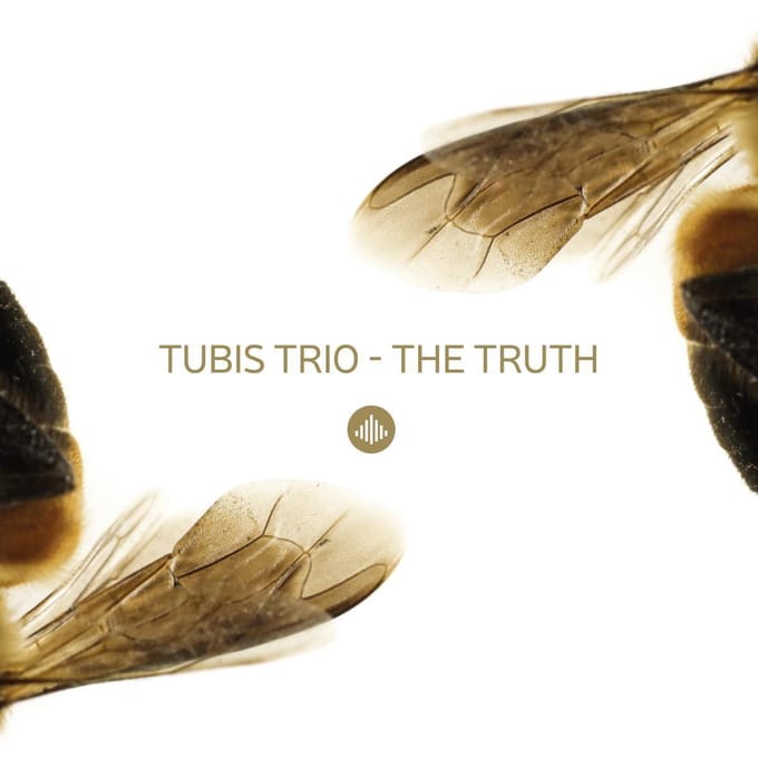 Truth - Tubis Trio