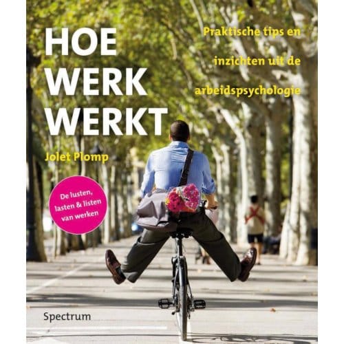 Hoe Werk Werkt - Jolet Plomp