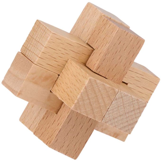 Lifetime Wooden Brain Puzzle