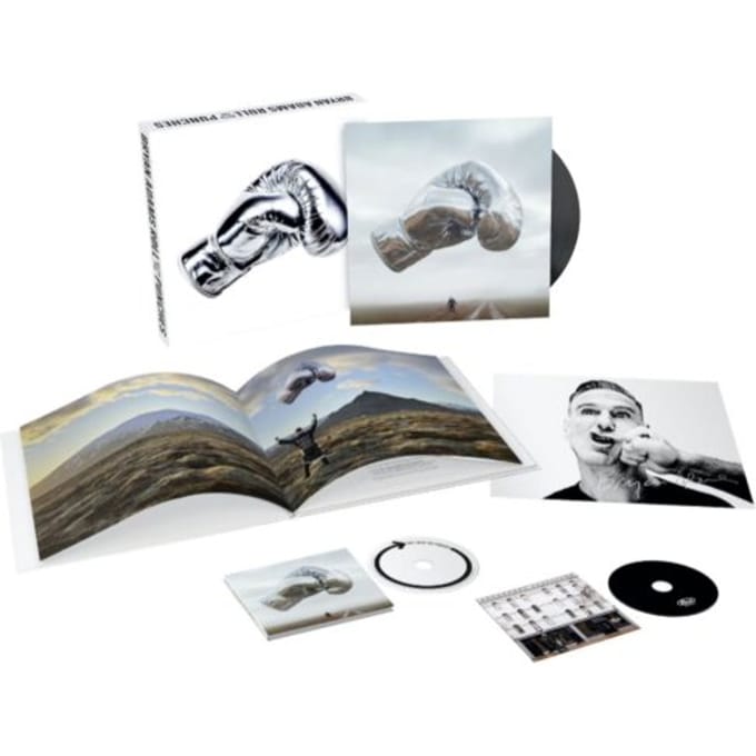 Roll With The Punches - Bryan Adams