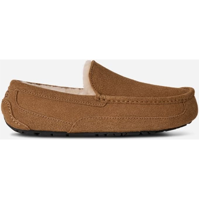 UGG® Ascot for Men in Brown, Size 11, Suede/Leather/Wool