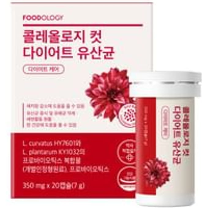 FOODOLOGY - FOODOLOGY