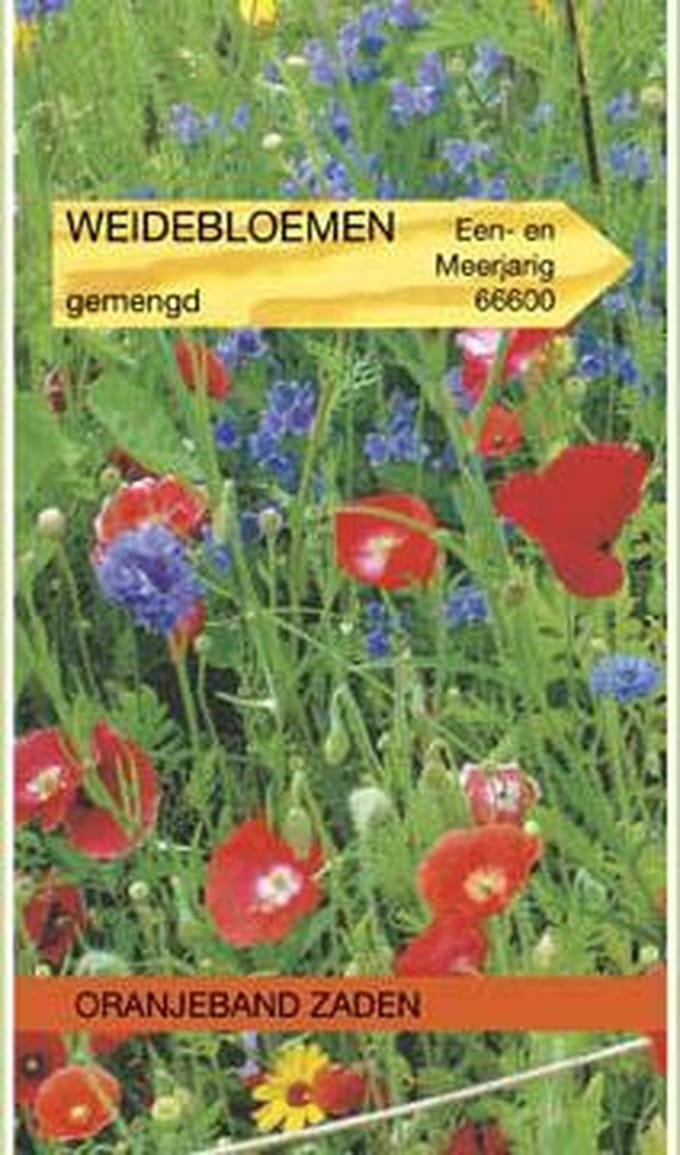 Oranjebandzaden -  Weidebloemen mengsel - 5 m²