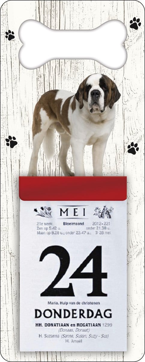 Scheurkalender 2027 Hond: Sint Bernard