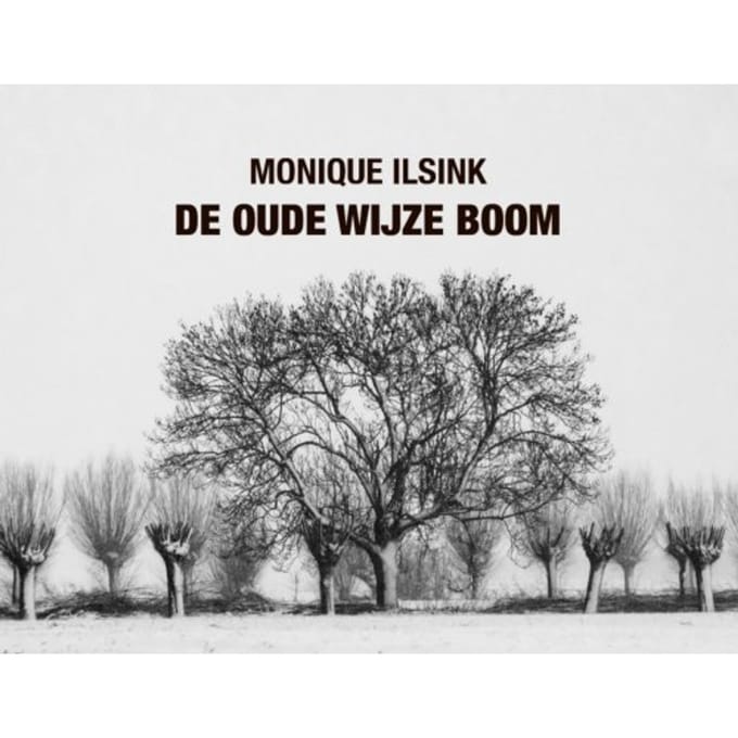 De Oude Wijze Boom - Monique Ilsink