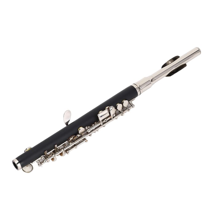 Flûte piccolo en do, instrument de musique pour débutants, avec kit de nettoyage black