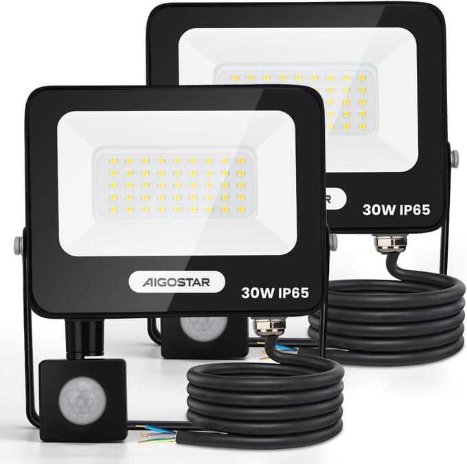 LED Buitenlamp met Bewegingsmelder 30W Zeer Helder 4000K IP65 Dimbaar
