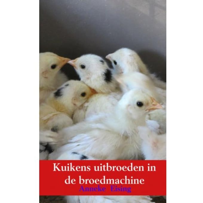 Kuikens Uitbroeden In De Broedmachine - Anneke Eising