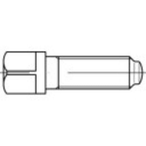 TOOLCRAFT 107983 Vierkantbouten M20 60 mm Vierkant DIN 480 Staal 10 stuk(s)