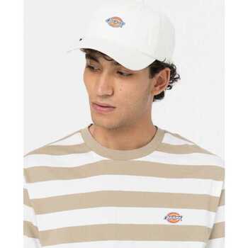 Sportcap Dickies Hardwick Cloud (Één maat)