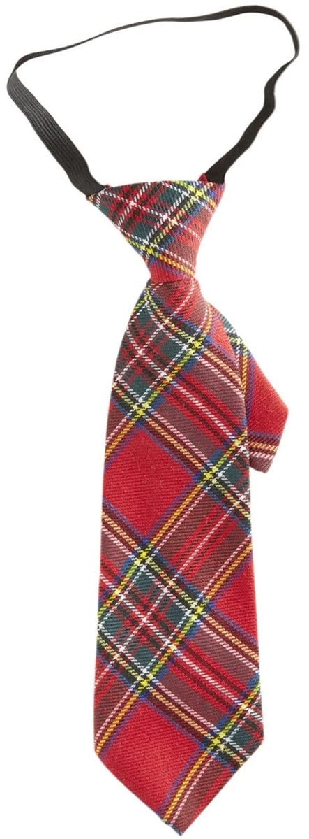 Verkleed stropdas - rood - geruit - 30 cm - polyester - volwassenen - Carnaval verkleed spullen