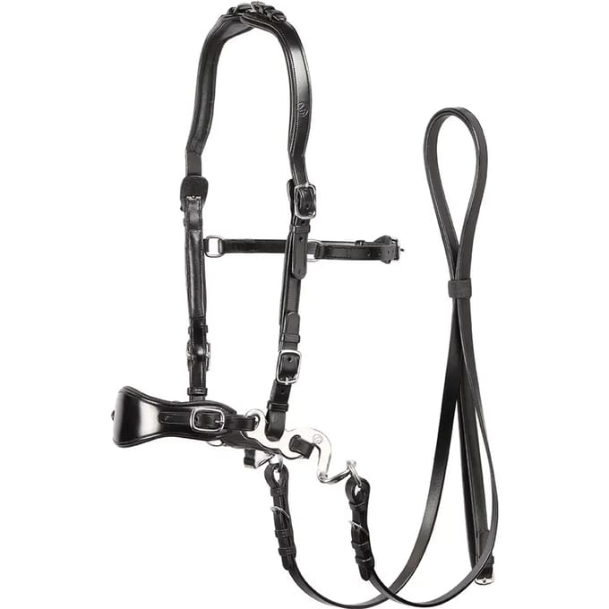 Bitloos hoofdstel voor paarden Edix Saddles ED4- Classic
