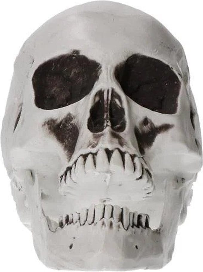 Schedel 18cm - Halloween