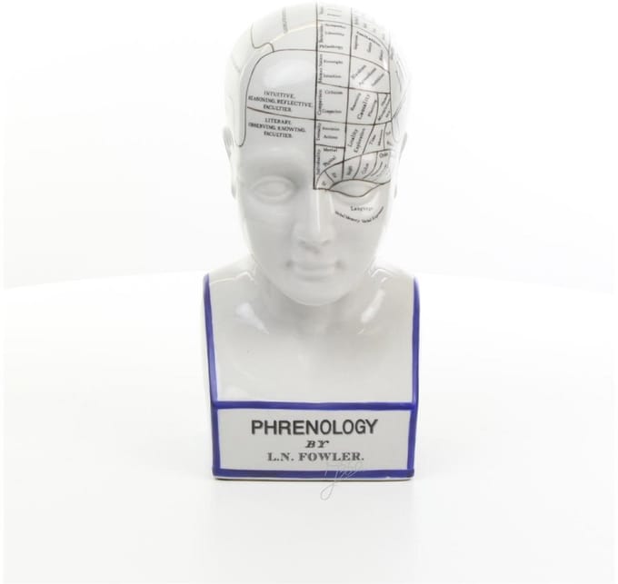 Porseleinen Phrenology Hoofd in blauwe kleuring