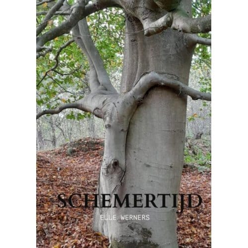 Schemertijd - Elle Werners