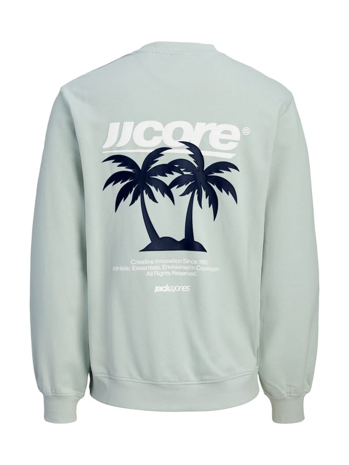 Jack & Jones Junior Pullover