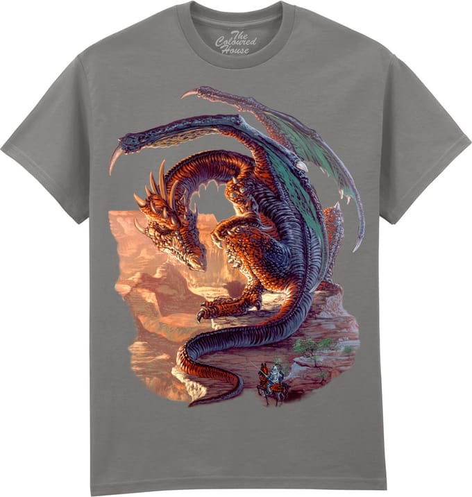 Draak Draken Bravery Misplaced The Coloured House T-shirt M