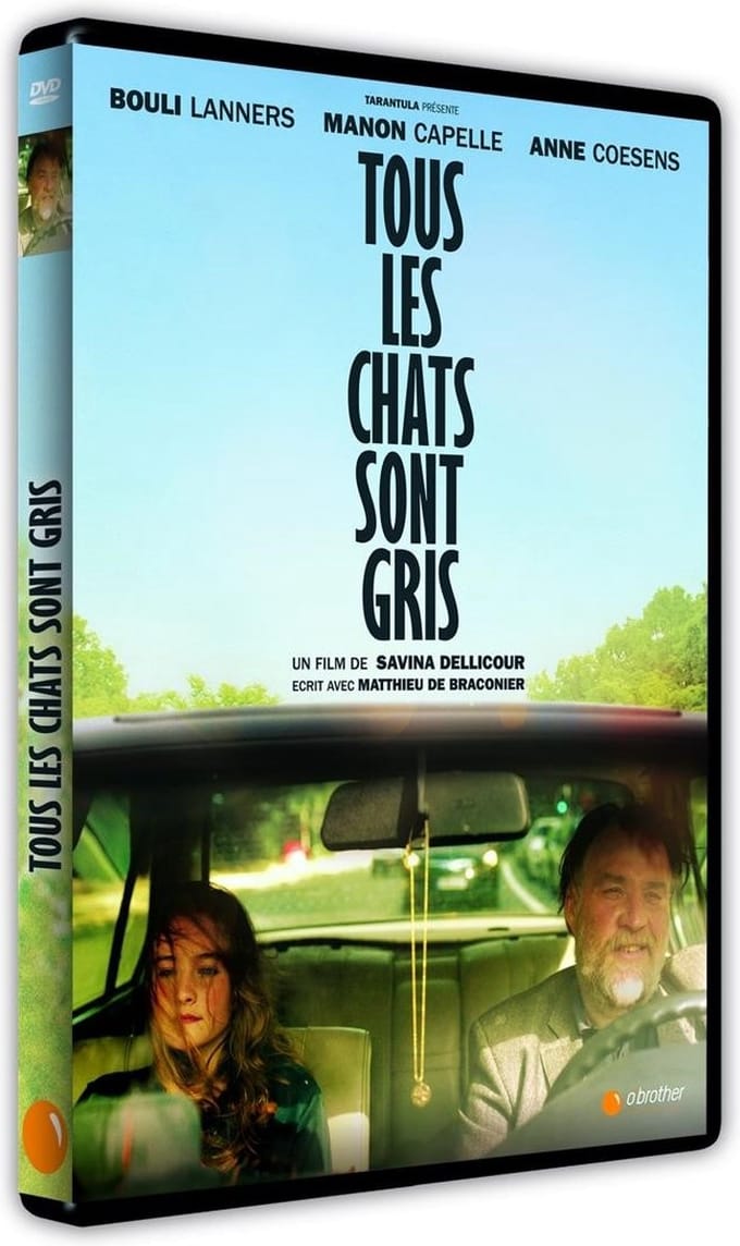 Tous Les Chats Sont Gris (DVD)