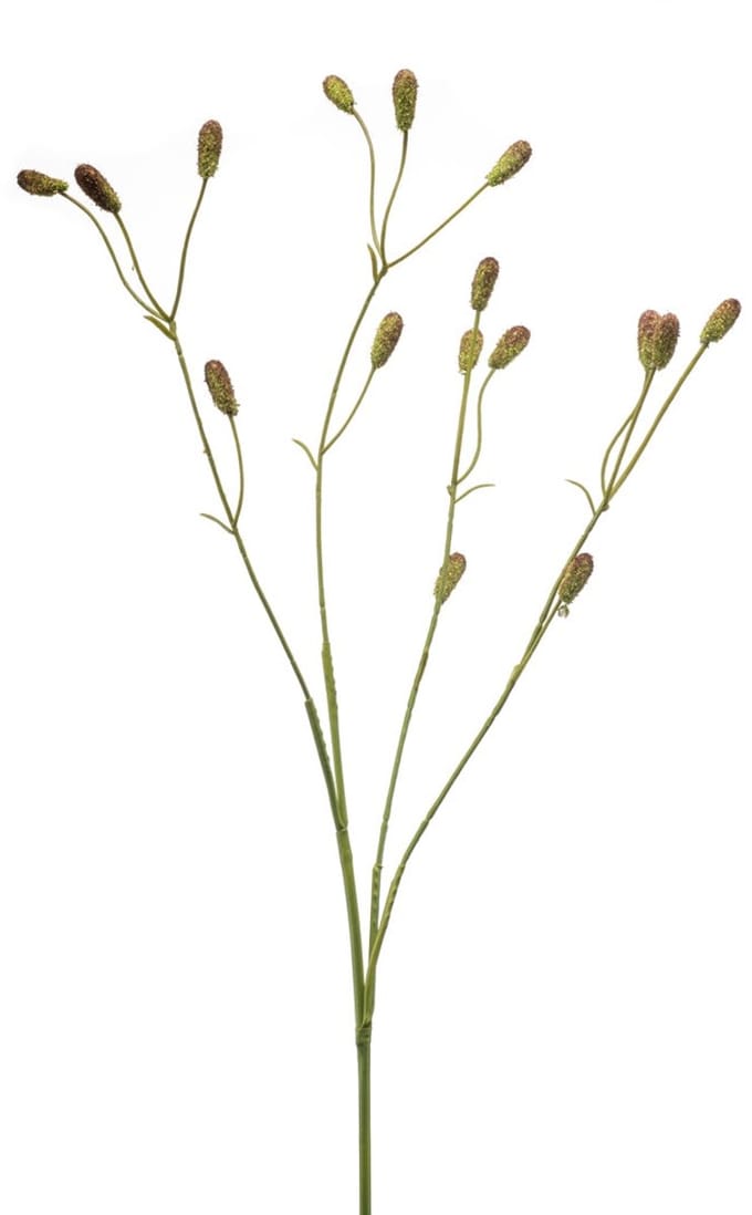 Emerald - Kunstbloem Bloedkruid 78cm groen/bruin - Kunstplant voor binnen