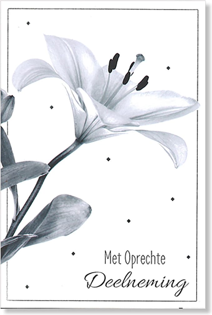 MGPcards - 6 Luxe dubbele wenskaarten - Deelneming - Foliedruk - FSC-keurmerk - 11,5 x 17 cm