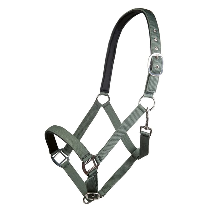 Nylon halster voor paard met zachte voering HKM Charming