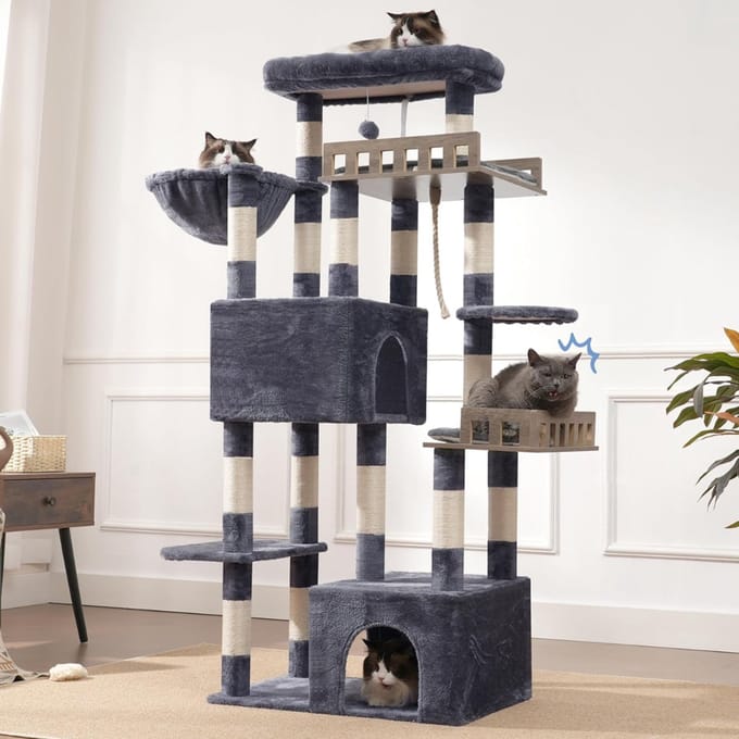 Krabpaal Voor Grote Katten - Kattenboom - Krabpaal